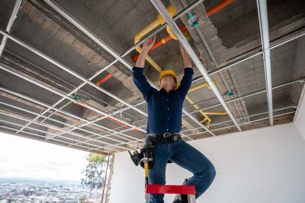 Best Residential Plumbing Services  in Waconia, MN