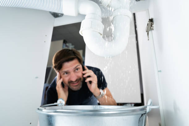 Best Pipe Repair Near Me  in Waconia, MN